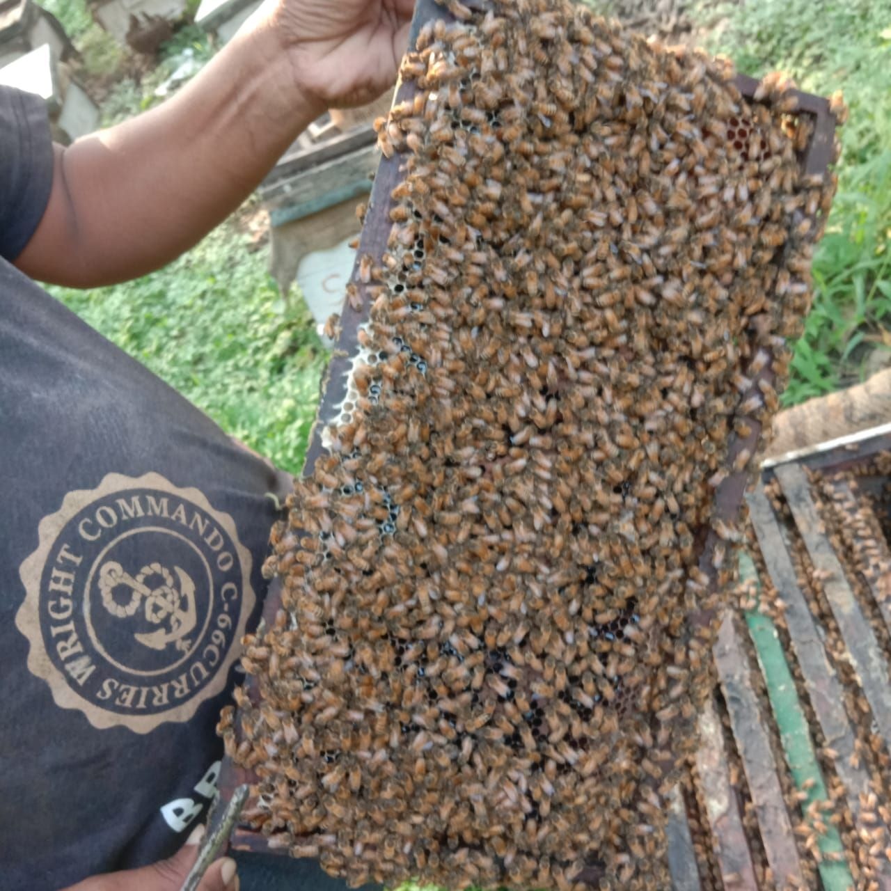 Natural protien